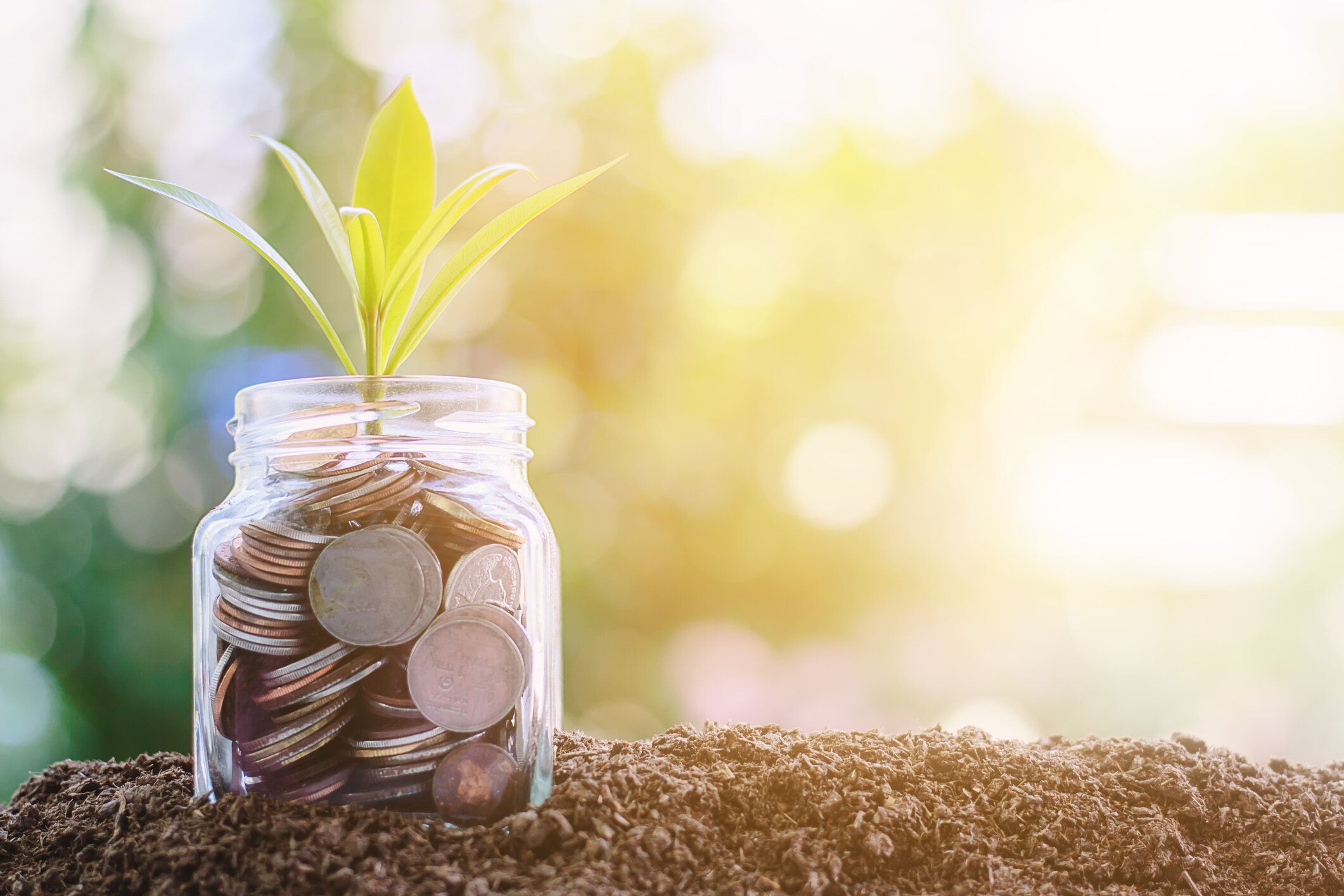 人生観を左右する新たな発見から、楽しく生きるためのヒントまで！珠玉の名言をご紹介