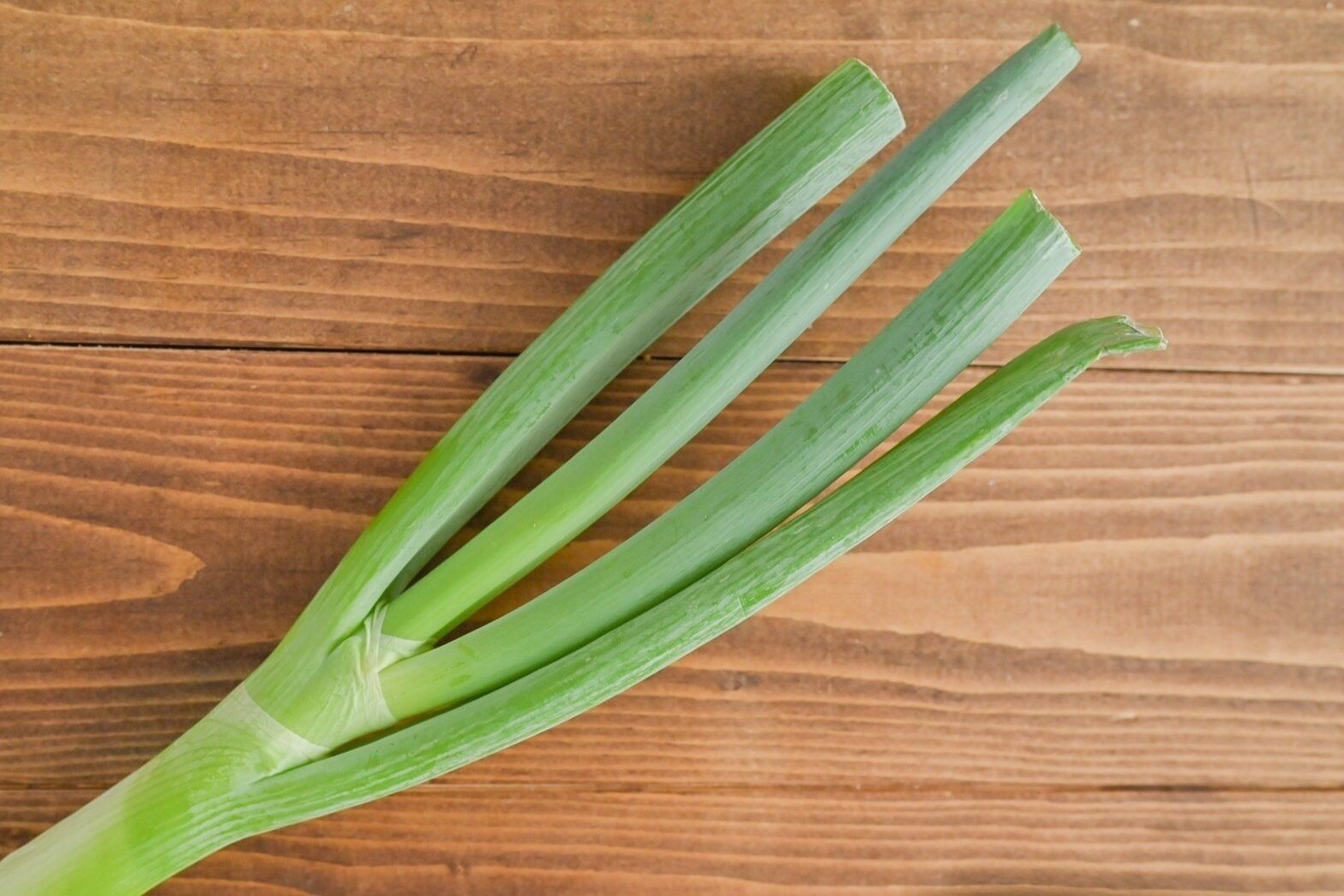 捨てないで！栄養も旨味もたっぷり「長ねぎの青い部分」を使い切る！簡単レシピ3選