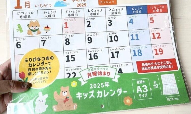 早く知りたかった！あると助かる！【セリア】「早い者勝ち」「飛ぶように売れた」持っておきたいおすすめアイテム4選