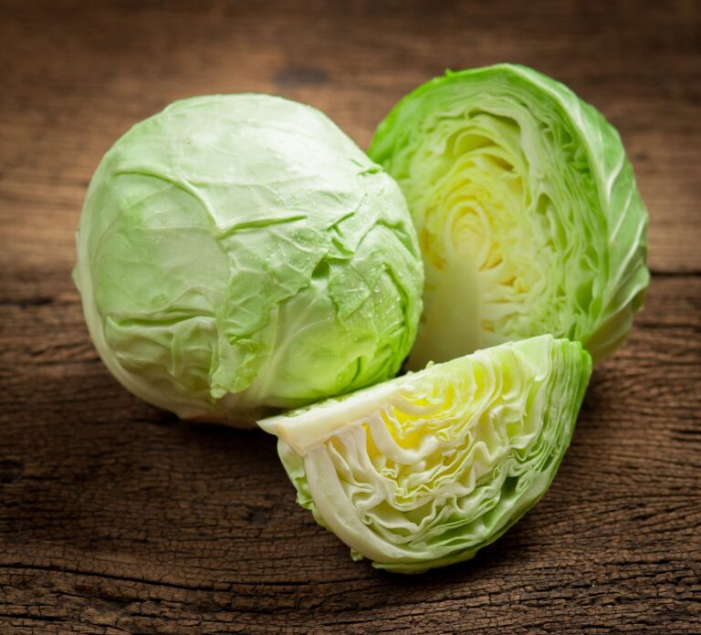 【旬食材】春キャベツは重いのと軽いのどっちを選ぶ？冬キャベツとの違いは⁇野菜ソムリエ解説