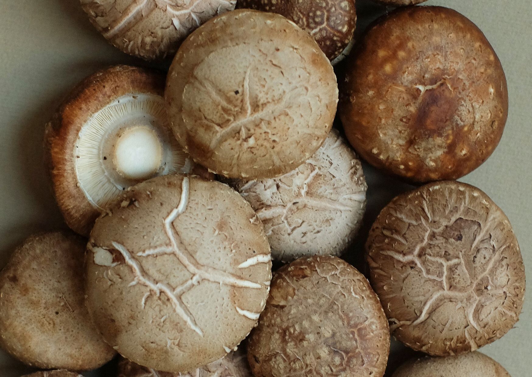 野菜のプロが解説！しいたけをスーパーで買うときにおいしいものを見分けるコツとは？