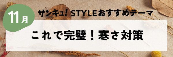 【おすすめのテーマ】これで完璧！寒さ対策