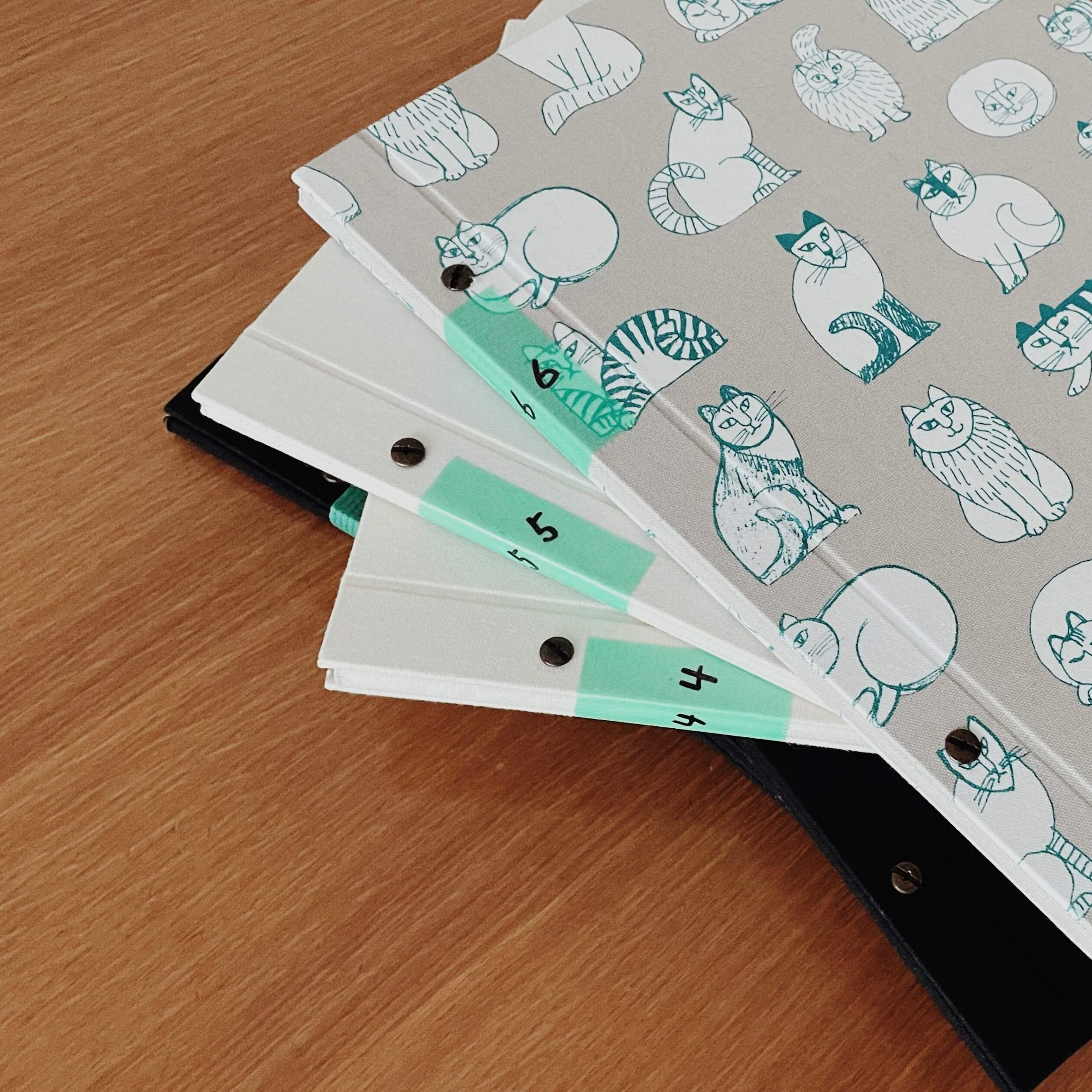 【子どものアルバムどうしてる？】忙しくとも続けやすい！ずぼらママのシンプルな写真整理術