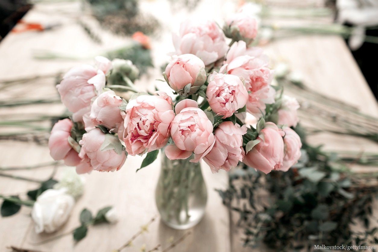 本をボロボロになるまで読んでいるのに物が捨てられない！山本ゆりさんに対するひでこ先生の断捨離アンサーは？