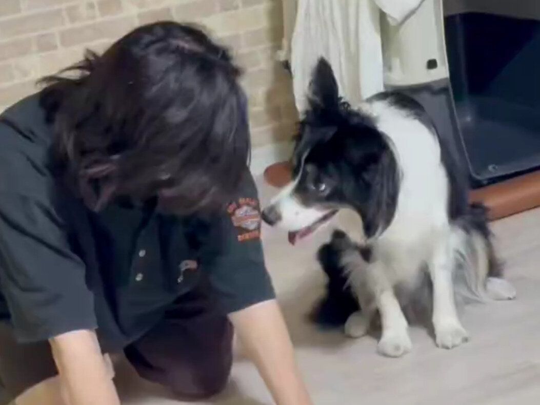 “パパ大好き”なワンコのマネっこ遊び！「かわいい」も「賢い」も兼ね備えた姿に1.9万人が癒やされる