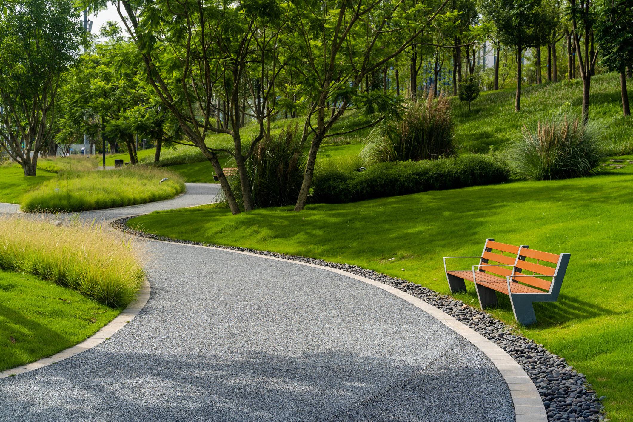 お弁当によく入っているあるものが道端に?!食べ物にそっくりな自然の産物に共感の声と5.7万件のいいね