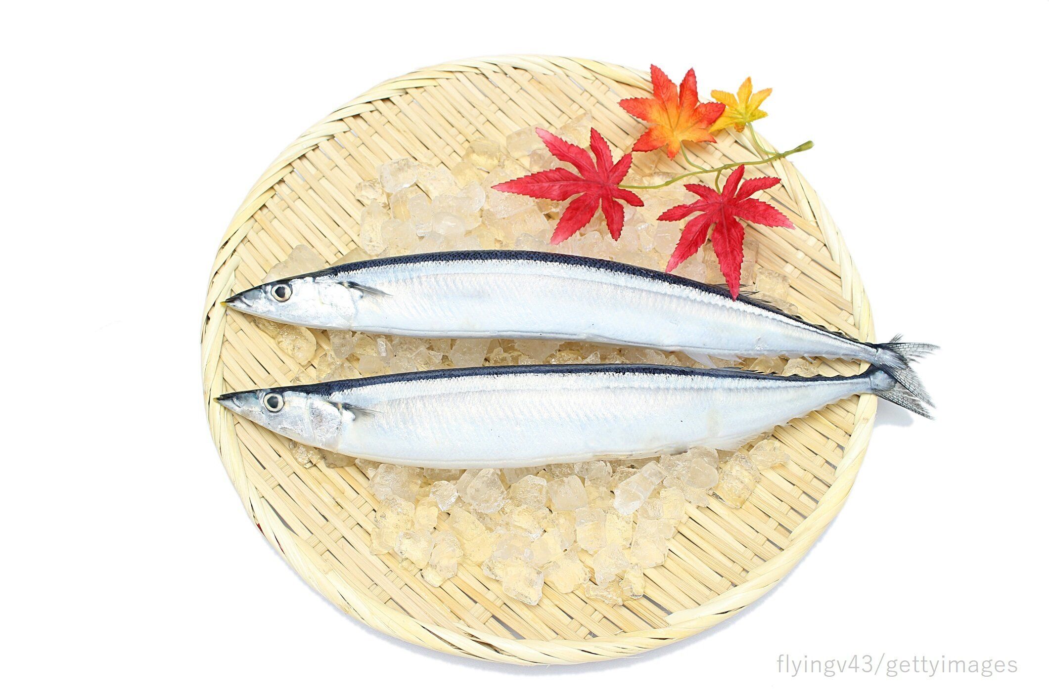 【旬食材】サンマは頭付きを買ってね！新鮮なサンマの簡単な見分け方＆おすすめサンマ料理2選