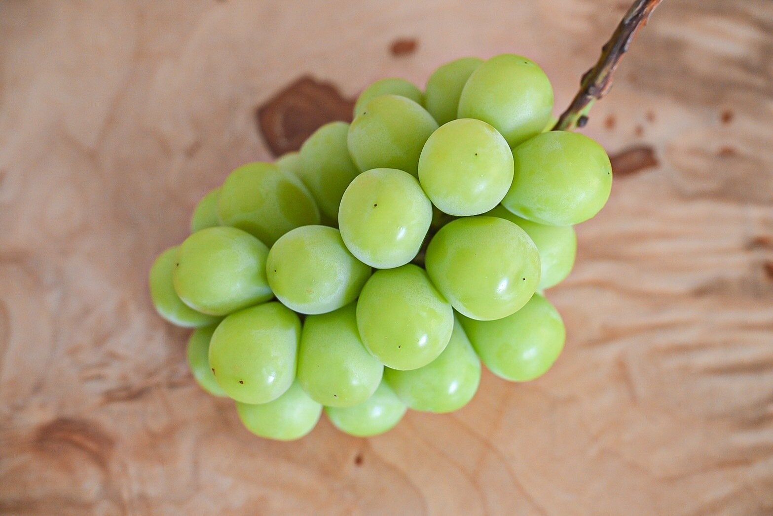 【旬食材】マスカットってどっちから食べるか知っている？＆SNSで話題沸騰中！サワーパッチグレープの作り方