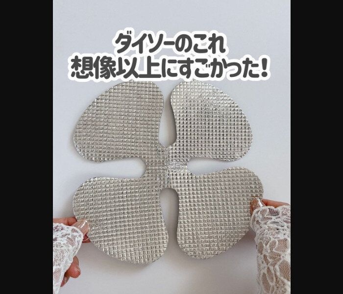 思わず2度見した【ダイソー】「想像以上にすごい」「110円はヤバい」激推し4選