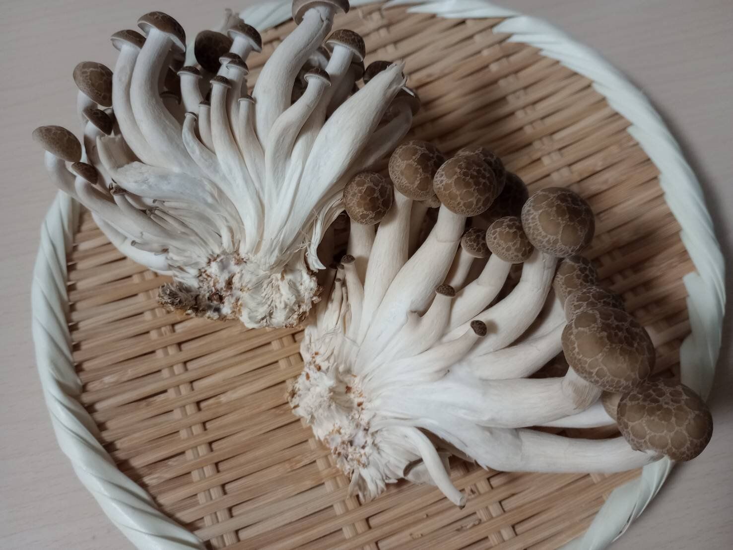 野菜のプロが解説！しめじをスーパーで買うときにおいしいものを見分けるコツとは？