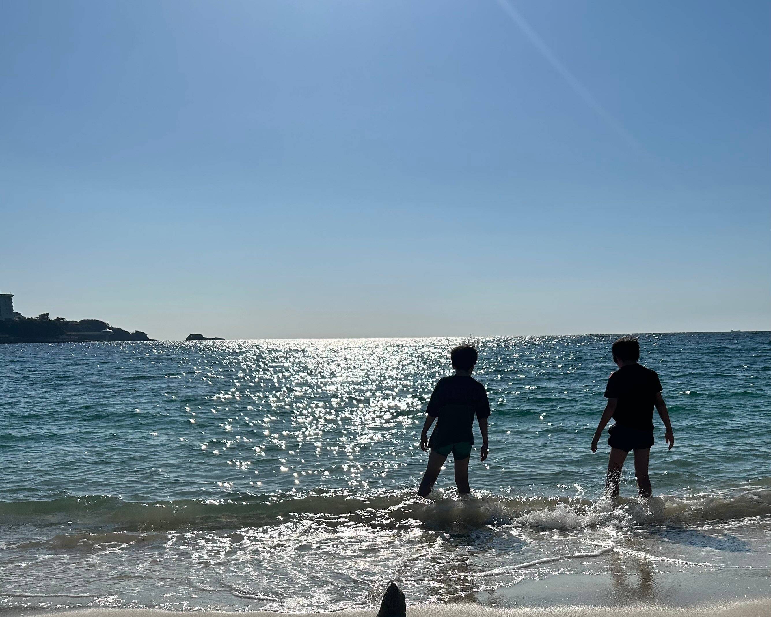 教育費をしっかり貯める方法～NISAを活用した効率的な資産形成～