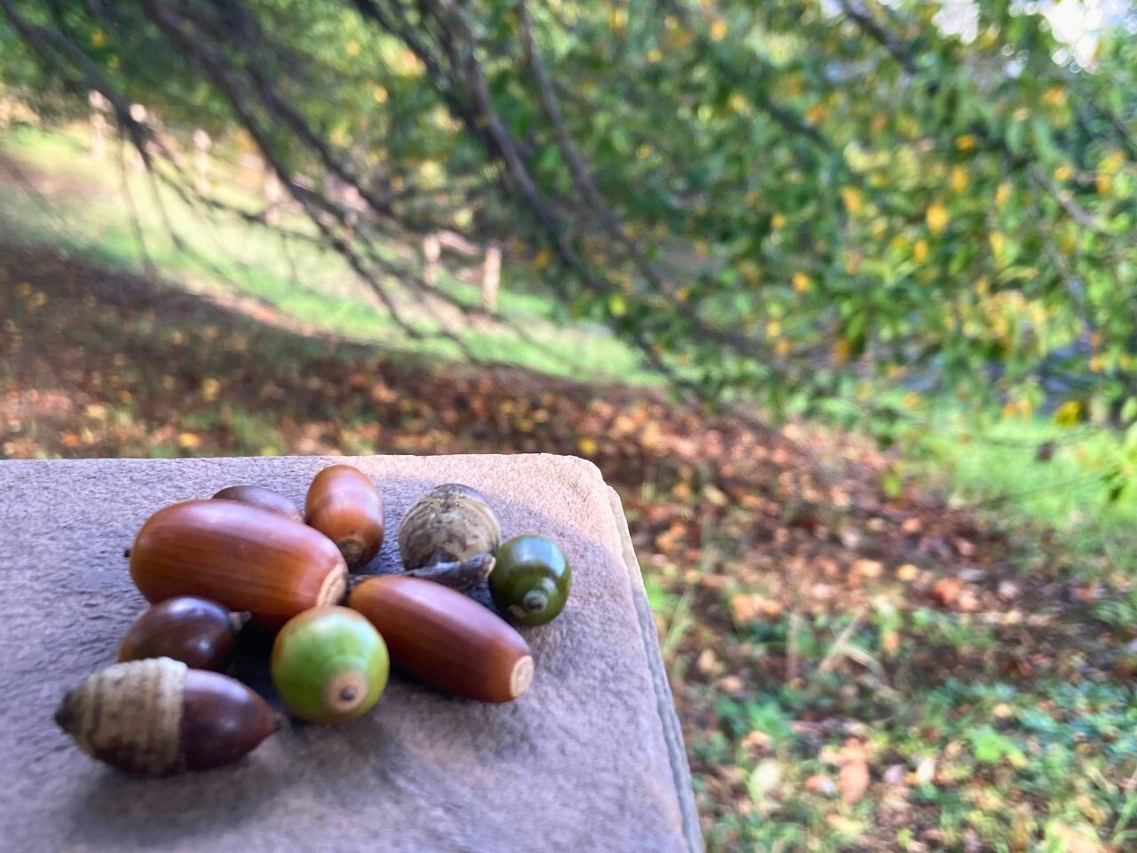 年の瀬前に終わらせると楽！早めにやっておきたい家事3選