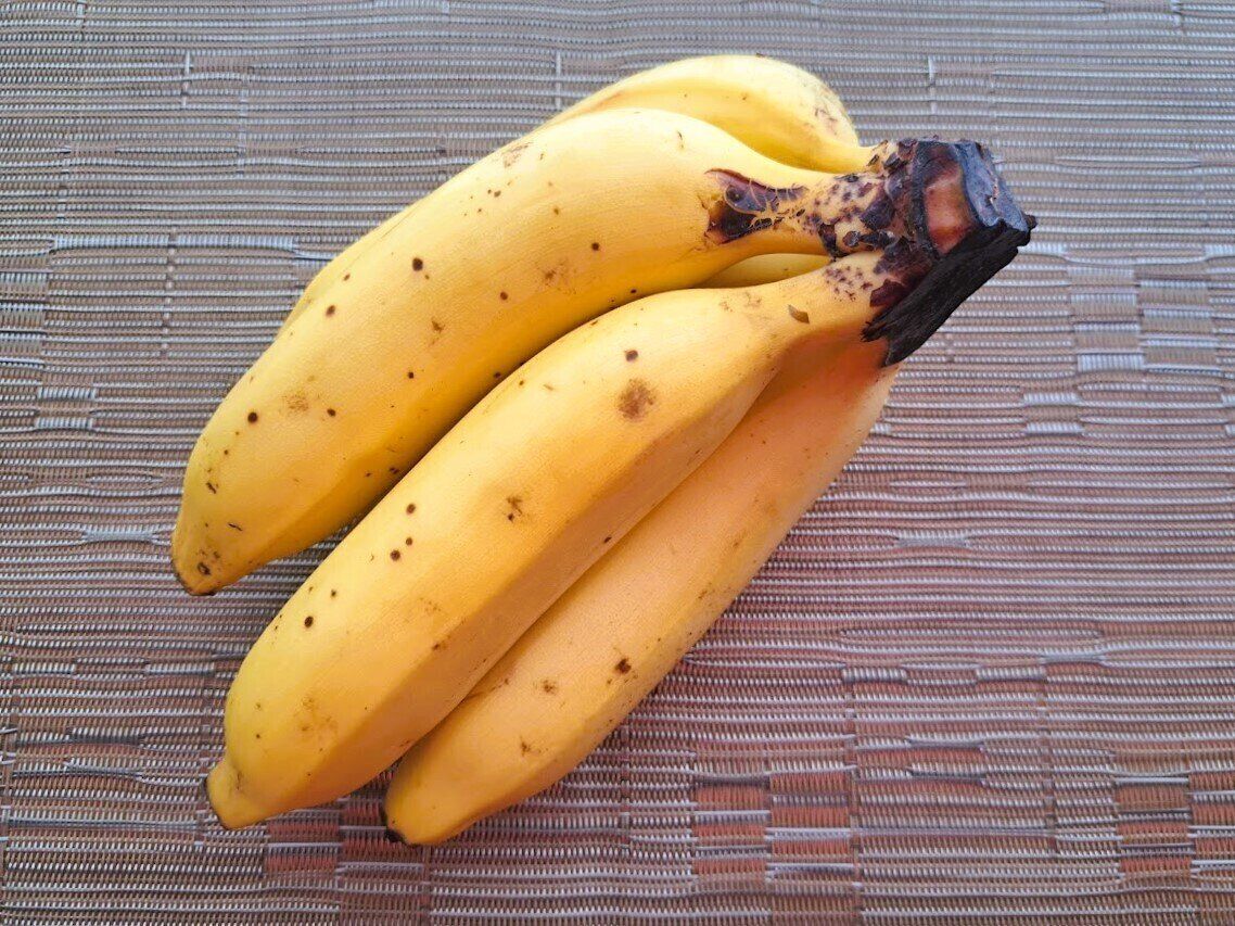 キウイフルーツの味がする「キウイニーナ」バナナ【野菜ソムリエも絶賛】