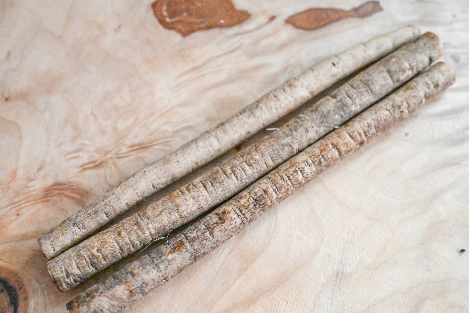 【旬食材】ごぼうは気温によって保存場所が違うよ＆ごぼうが主役のおすすめレシピ3選