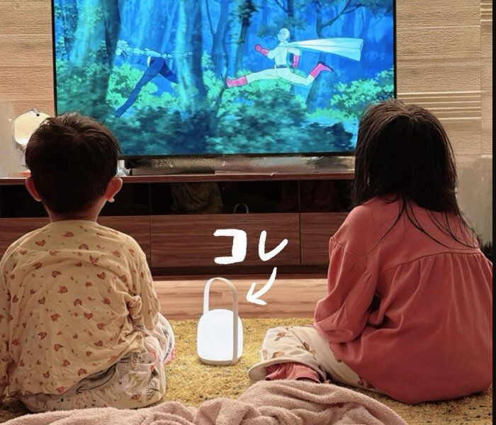 本当はヒミツにしたい【ニトリ】「隠れ名品」「正解見つかった」ヒット8選