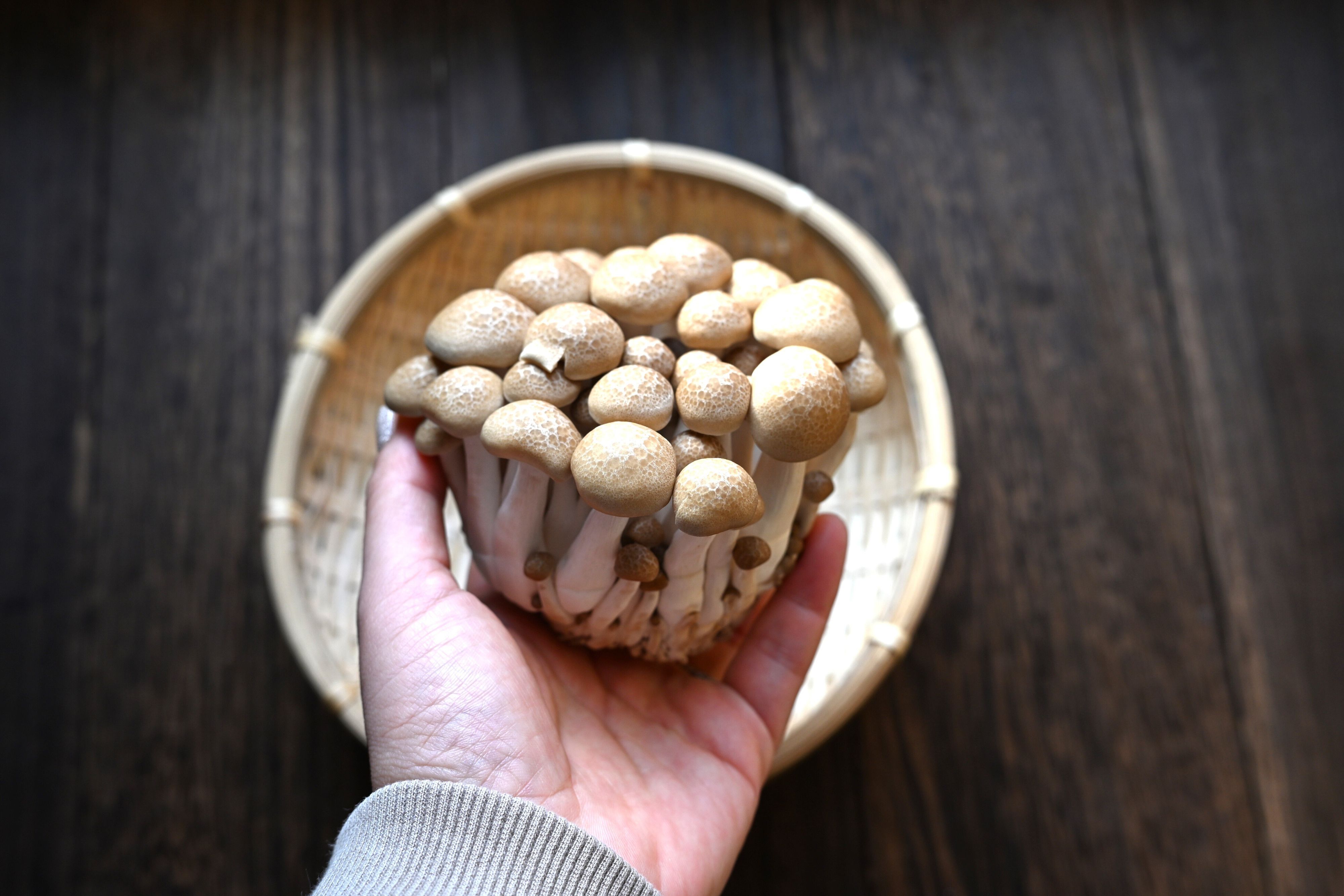 「しめじは包丁厳禁!!」しめじをむだなく調理できる方法を試してみた