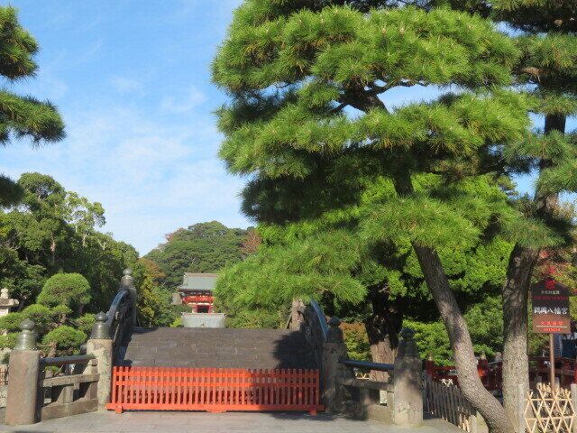 子連れでも楽しめた！神奈川県民が愛する鎌倉観光スポット3