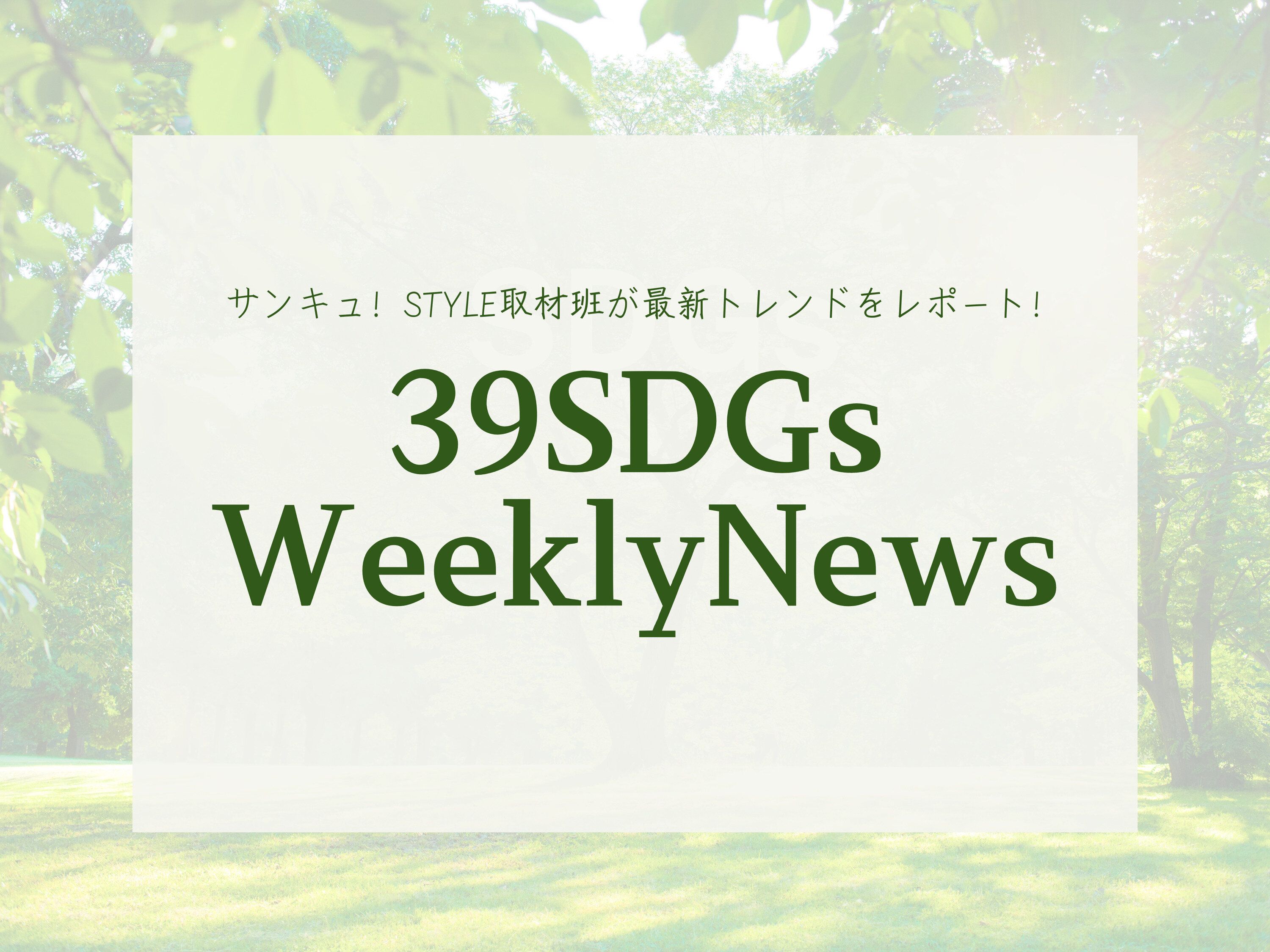 誰でもできるSDGs！食品を寄付する「フードドライブ活動」って知ってる？今週の気になるSDGsニュースをお届け【39SDGs WeeklyNews】