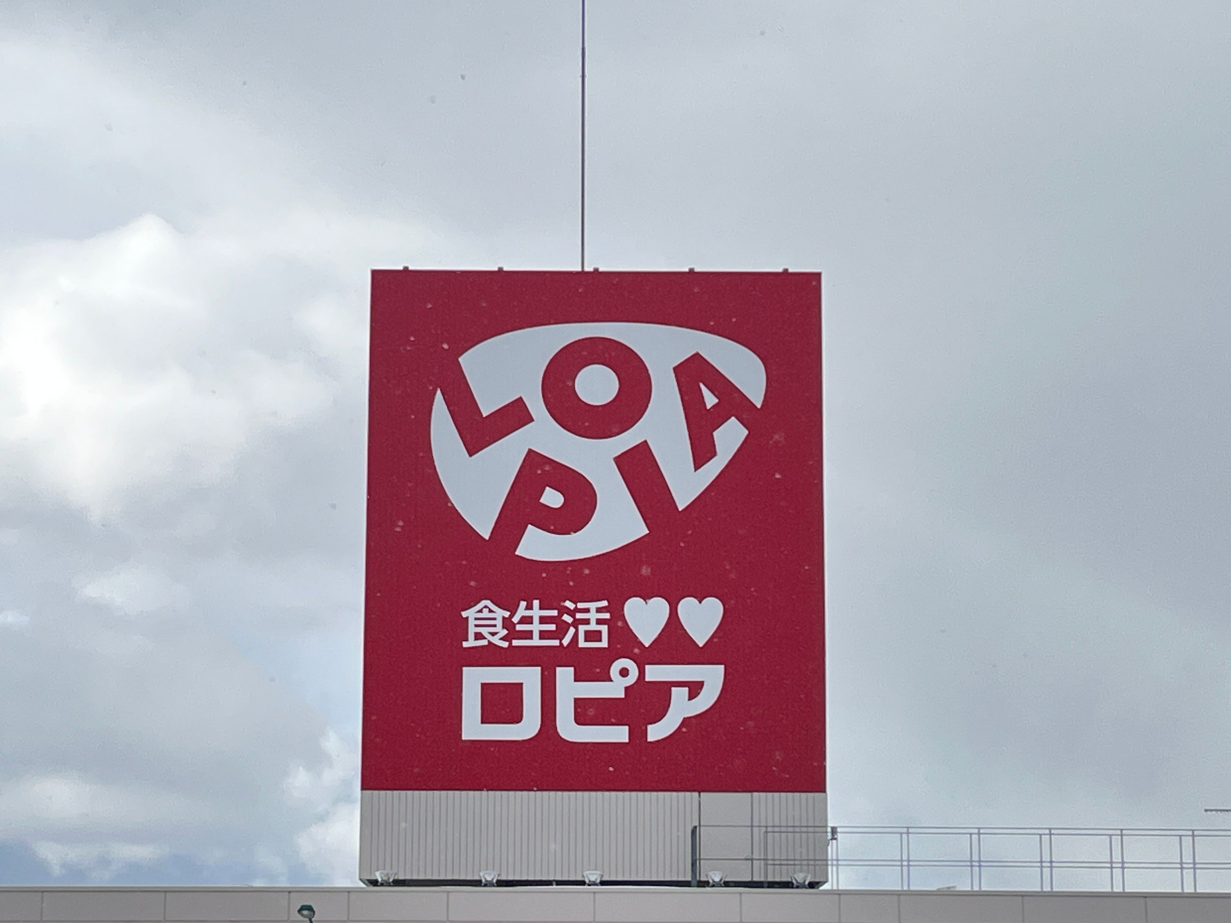 ふわふわの生地にクリームがとろ〜り！ロピアの今川焼は大容量でリピ買い必至のおいしさ