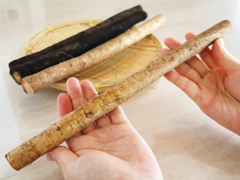 実は避けた方がいいかも？野菜のプロが教えるごぼうのもったいない食べ方！もったいないポイントとおすすめの食べ方も紹介