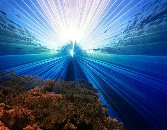 【夢占い】飛び降りる夢の意味とは？シチュエーション別に深掘り解説！