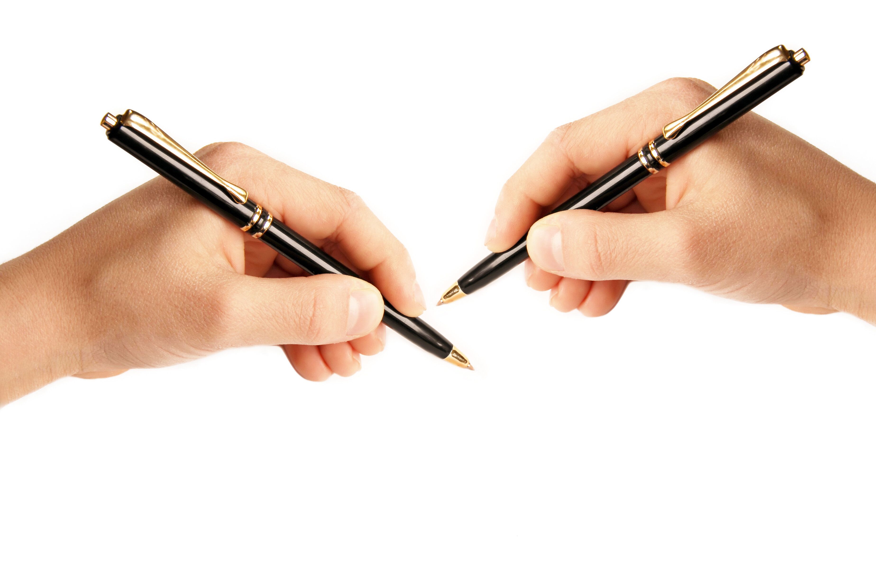 カンガルーは全員左利き？実は動物にも“利き手”があった