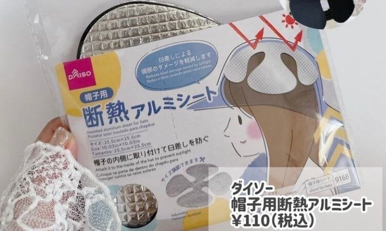 こんなものまで売ってるの？【ダイソー】「やっとめぐり会えた」「想像以上！」知っておきたいアイテム5選