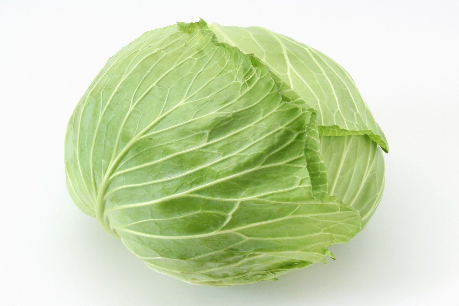 大量消費にも困らない！「キャベツ」を使ったおすすめのおかず・おつまみレシピ148選