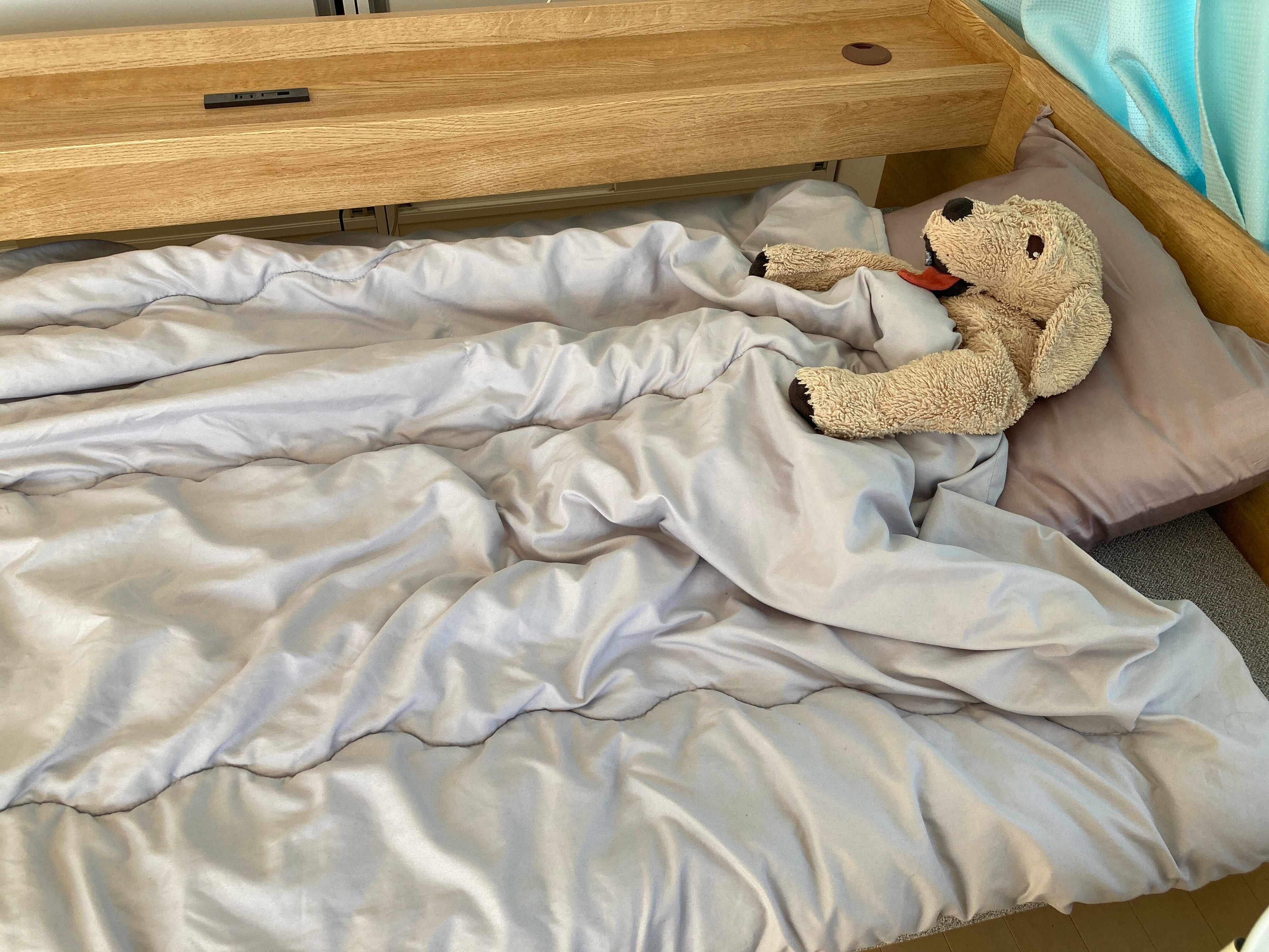 【布団】手放したらラクになった！ズボラ激推し！暖かさ◎の「シンサレート掛け布団」とは