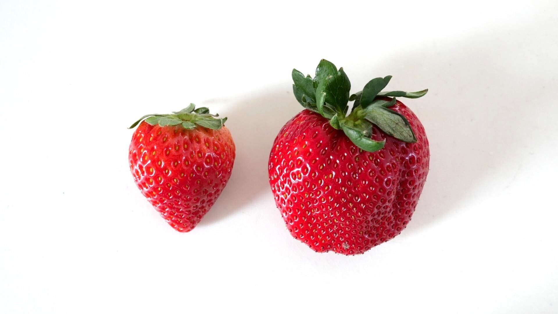 イチゴの失敗しない選び方のポイントは3つ！料理家の解説「早く知りたかった」の声