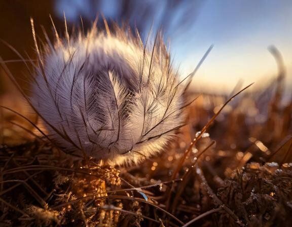 【夢占い】不審者の夢の意味とは？状況、場所、特徴などシチュエーション別に解説！