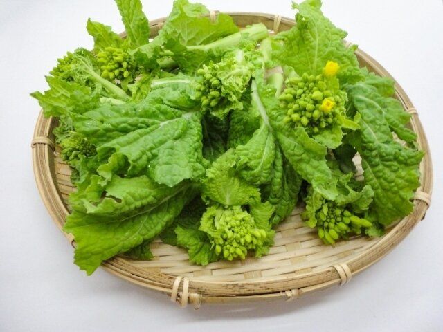 じつは避けたほうがいいかも!?野菜のプロが教える菜の花の「もったいない」食べかた
