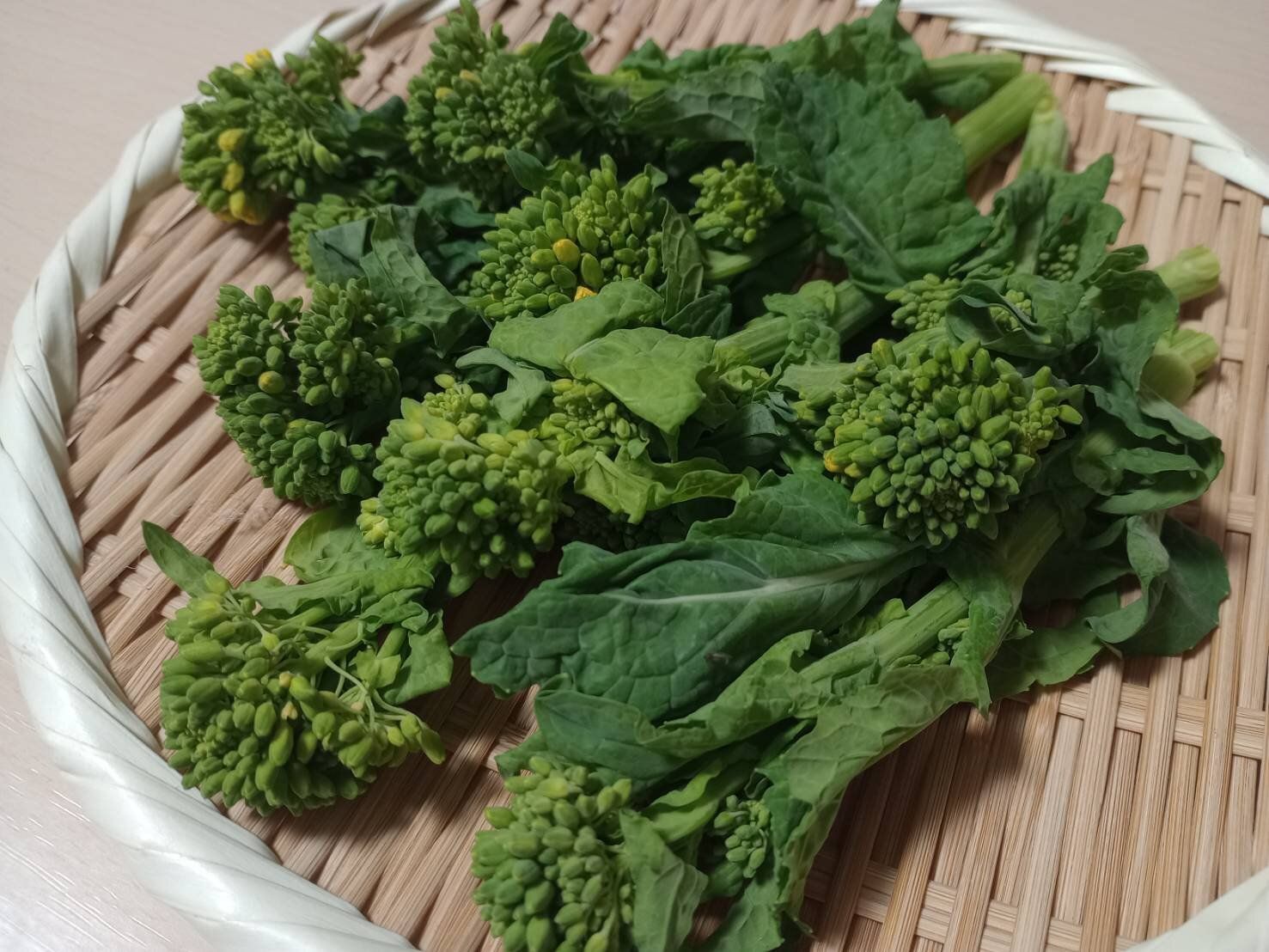 野菜のプロが解説！スーパーで菜の花を買うときにおいしいものを見分けるコツとは？