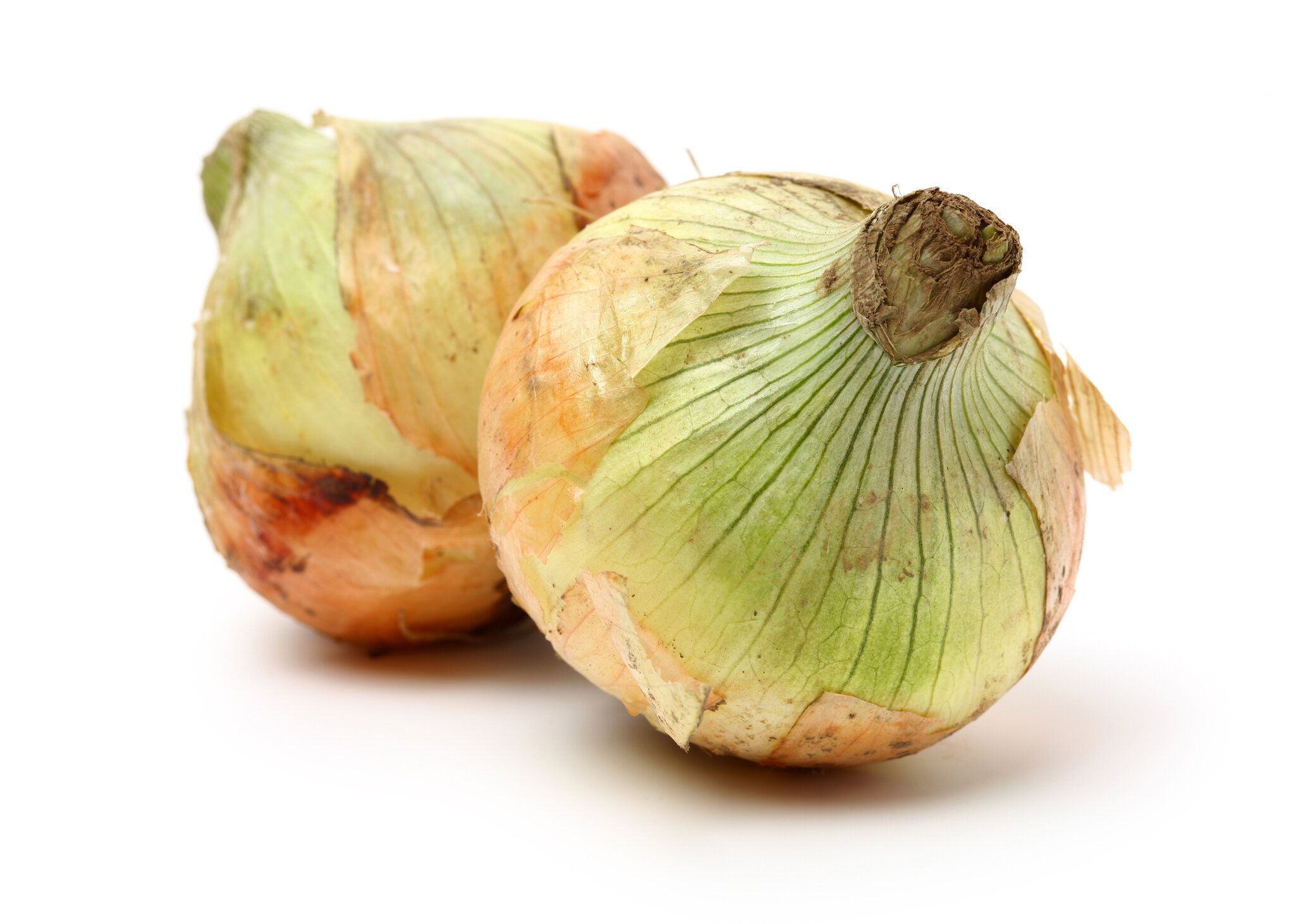 あなたも間違えているかも!?やってはいけない新玉ねぎの保存方法