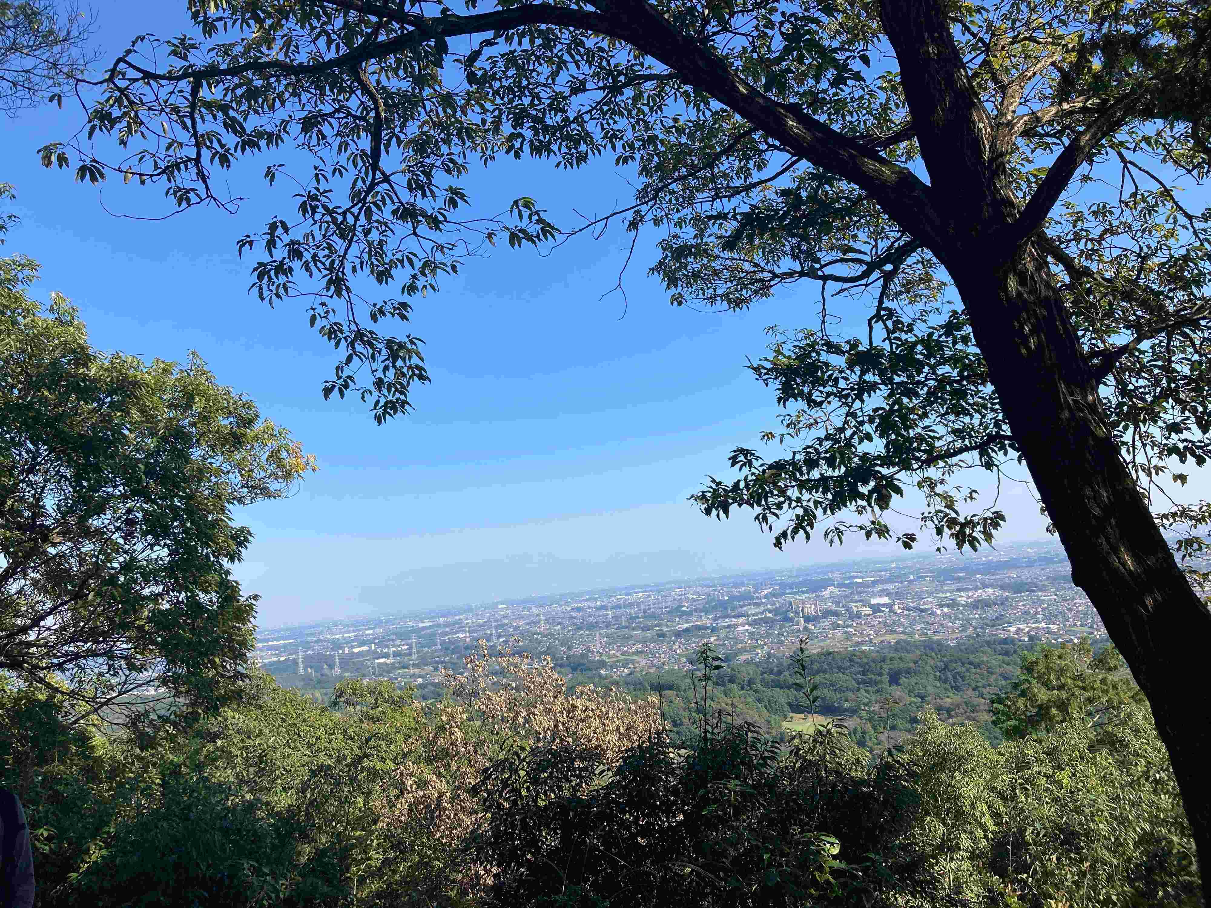 2025年のテーマは「時間と健康」を整える！やりたいこと３選