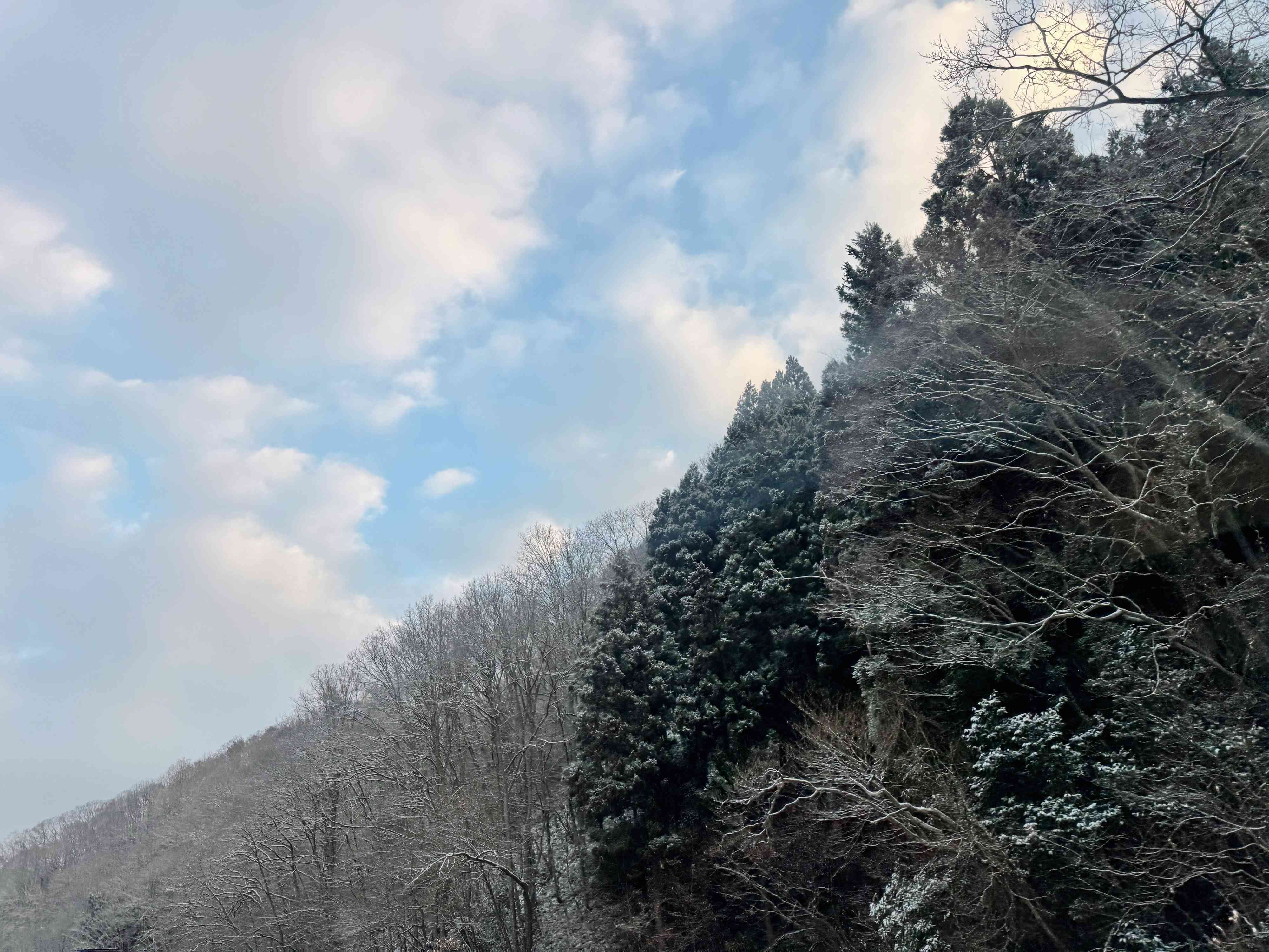 目標もシンプルに！暮らしマニアのシンプリストが2025年にやりたいこと3つ