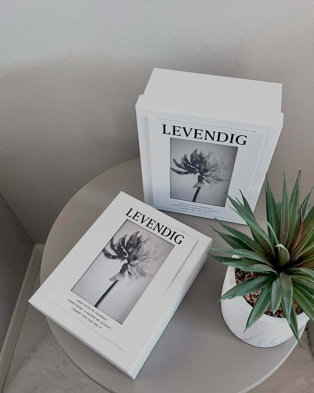 見つけたら即買い！【ダイソー】「めっちゃ可愛い」「すごいの発見！」SNSで話題の人気商品7選