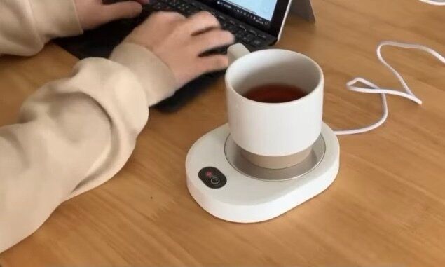 こんな発想があるの!?【ダイソー】「すぐ売り切れ」「癒しの空間」ダイソーでおすすめのアイテム4選