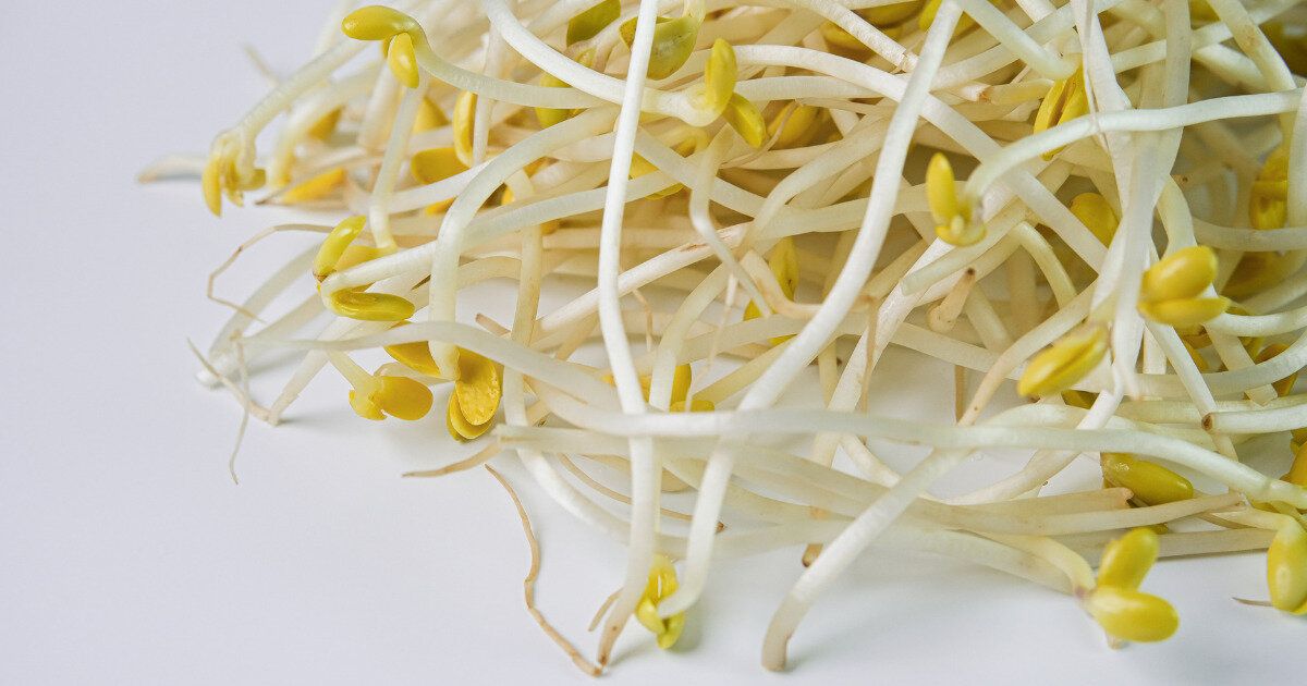 食費の救世主、もやしは種類によって使い分けするのが賢い