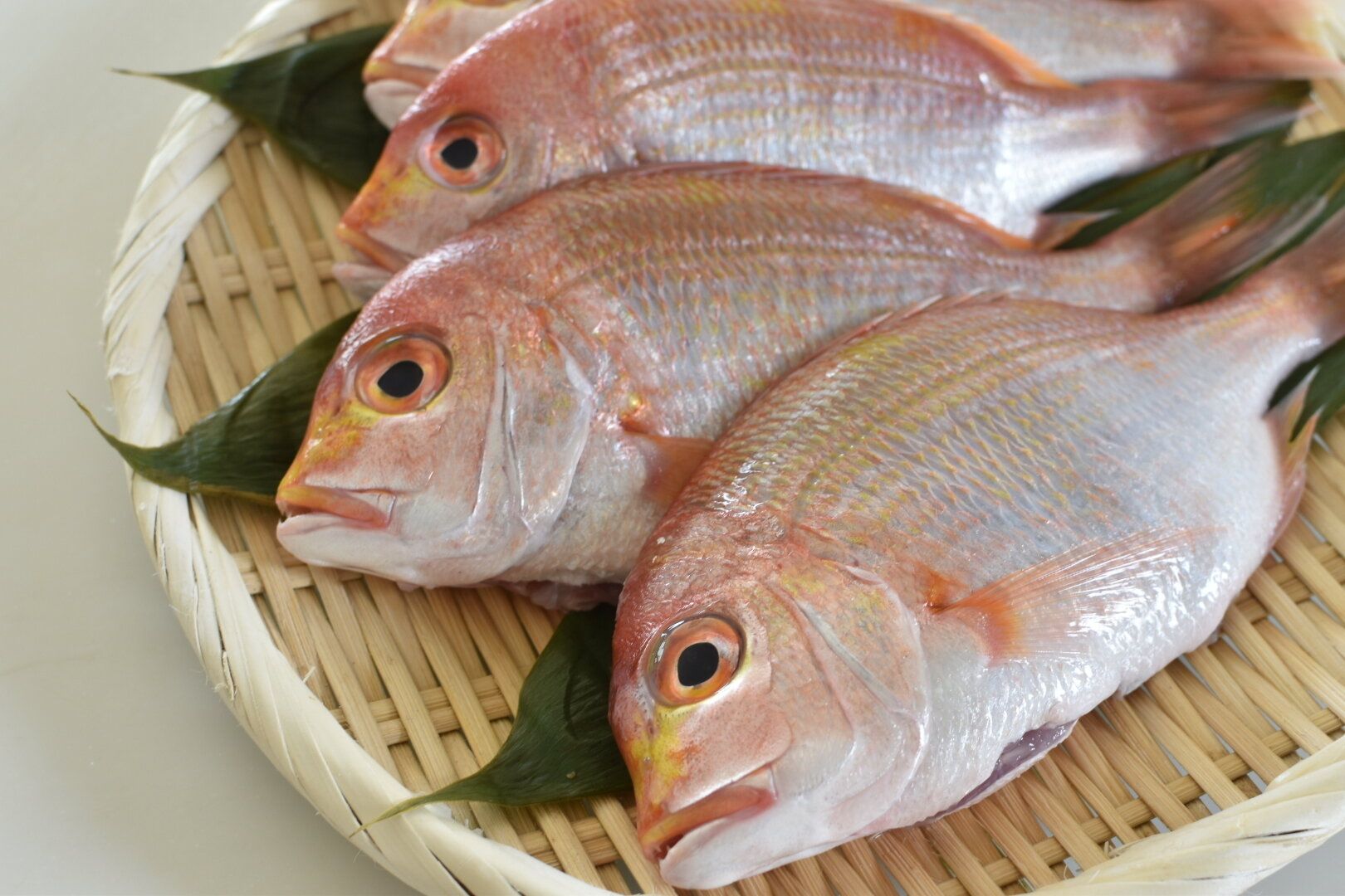 魚料理のおすすめ簡単レシピ66選！定番の人気レシピから調理の工夫も紹介！