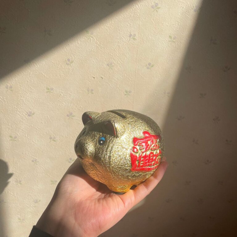年間100万円貯めるようになって買わなくなったもの3つ