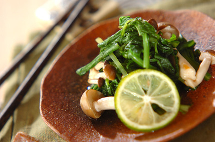 春菊を使った人気おすすめレシピ50選！サラダ・和え物～メインまで！