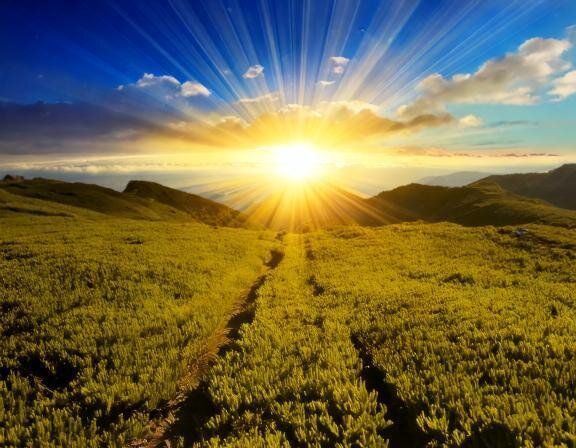 【夢占い】深層心理を探る！夢が教える無意識のメッセージとは？