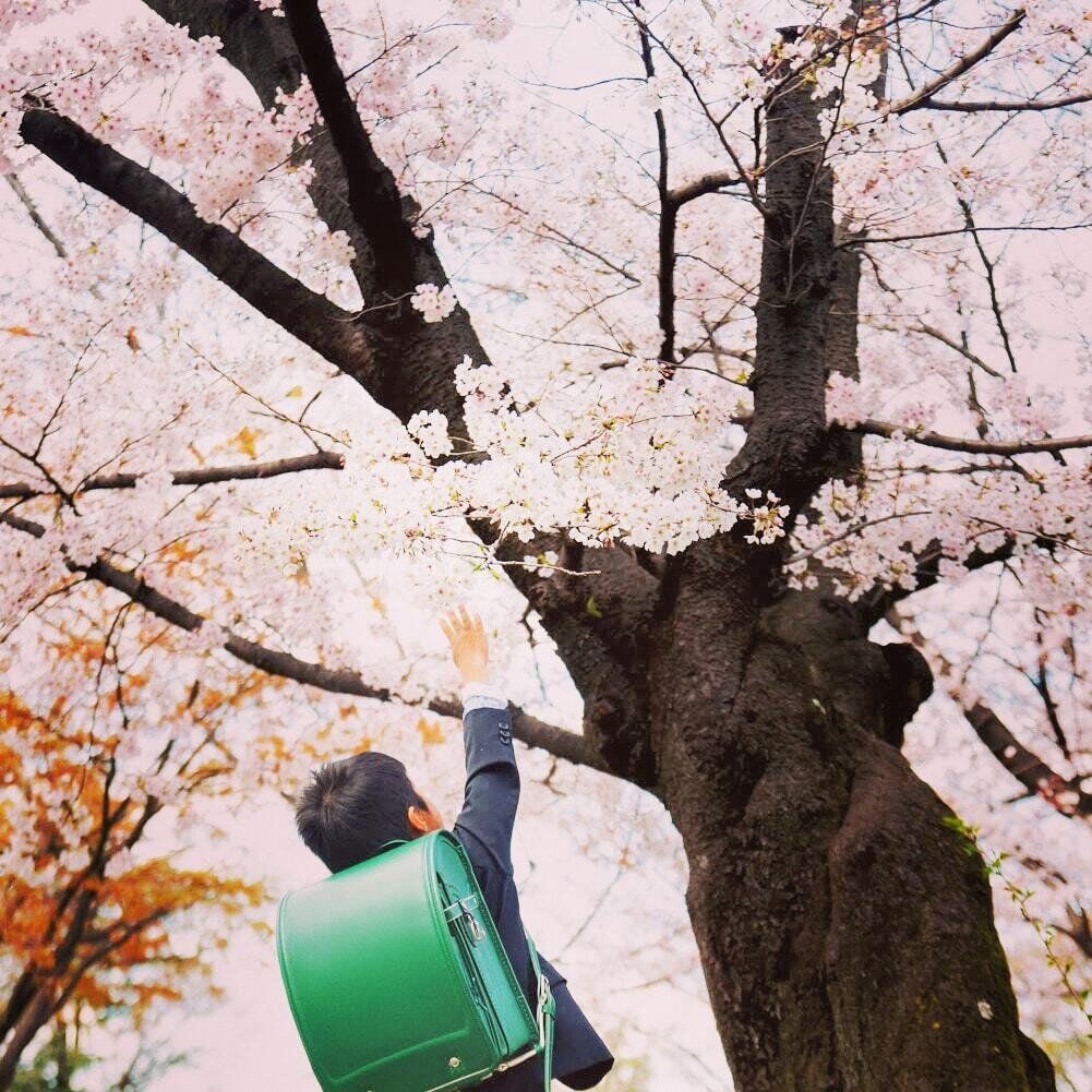 【ママ必見！春休みにやっておきたい】子どもにかかわるお金の準備５つ！