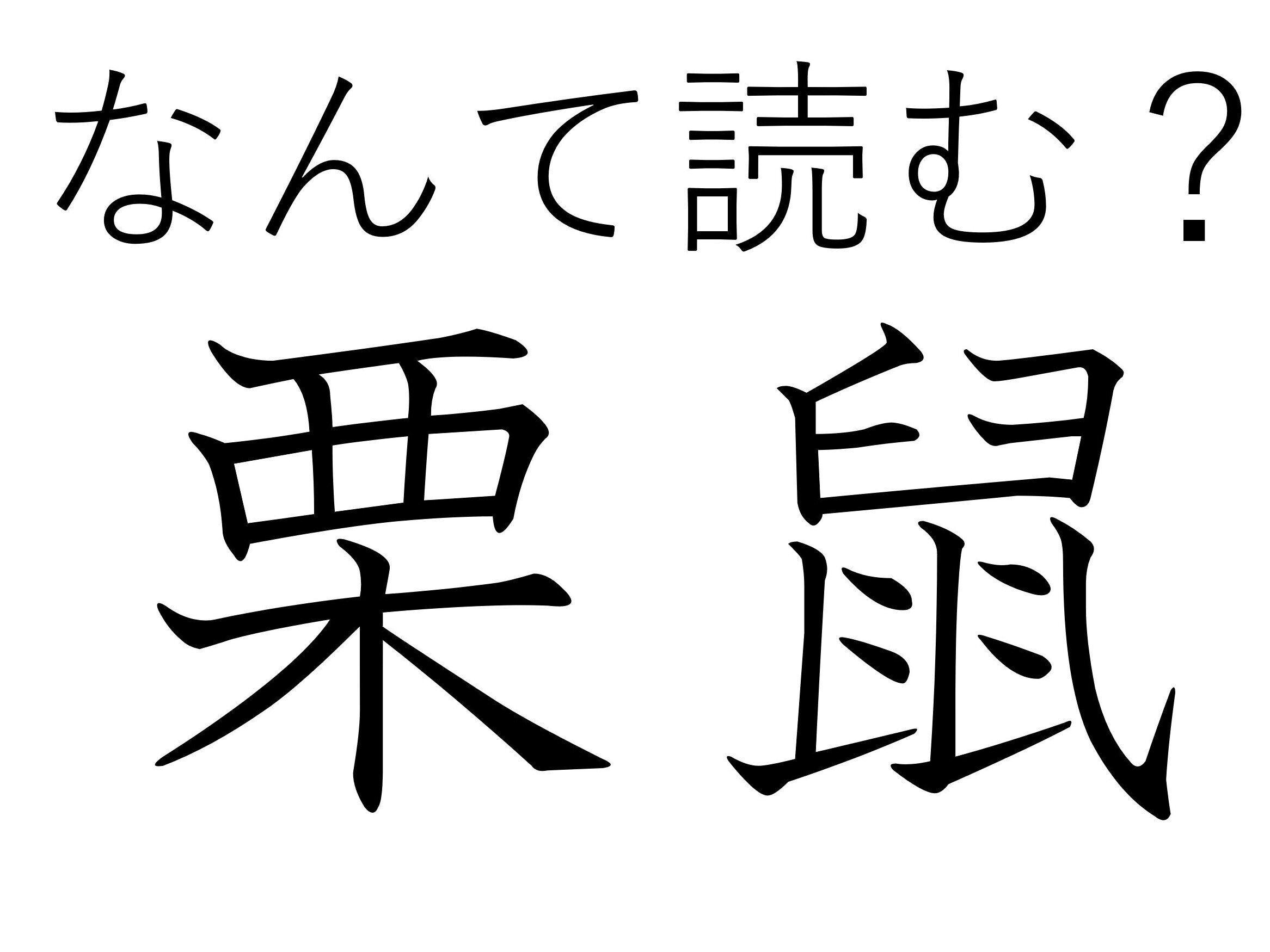 ふさふさしていてかわいい！難読漢字「栗鼠」はなんて読む？