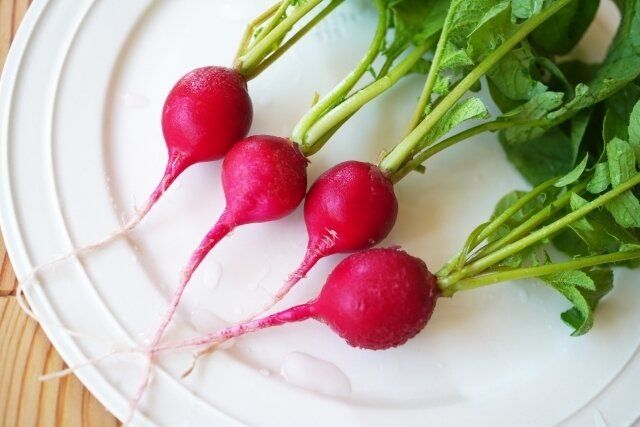 人気のラディッシュレシピ25選！子どもにおすすめなものから食べ方のアイデアまで！