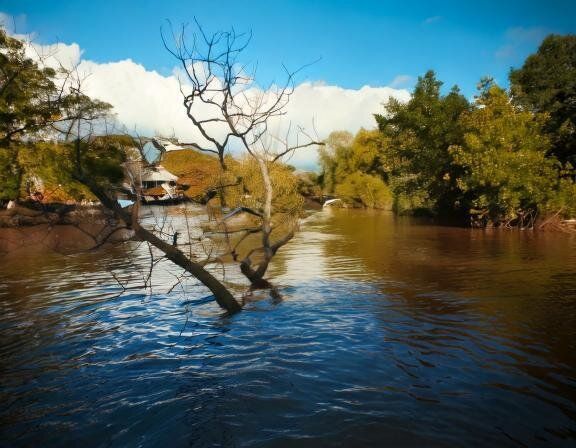 【夢占い】洪水の夢の意味とは？状況、登場人物などシチュエーション別に解説！