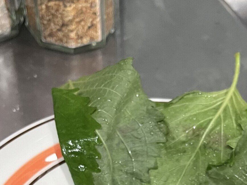 オリジナルの餃子のタレを6.7万人がなつかしむ!?衝撃のビジュアルがまるで”原始人クッキング”