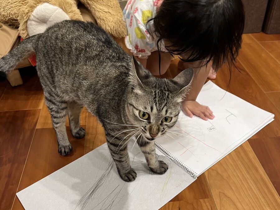 「邪魔しないで！」4才娘と猫のツーショットを撮影している飼い主に向けられたイカ耳！怒っている理由とは