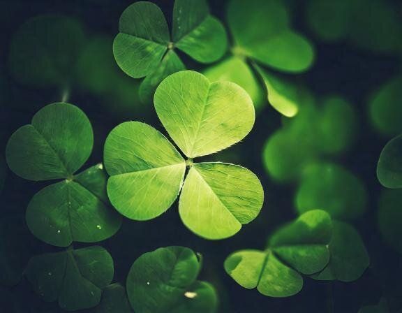 【夢占い】「記憶の整理」としての夢の意味とは？シチュエーション別に徹底解説！